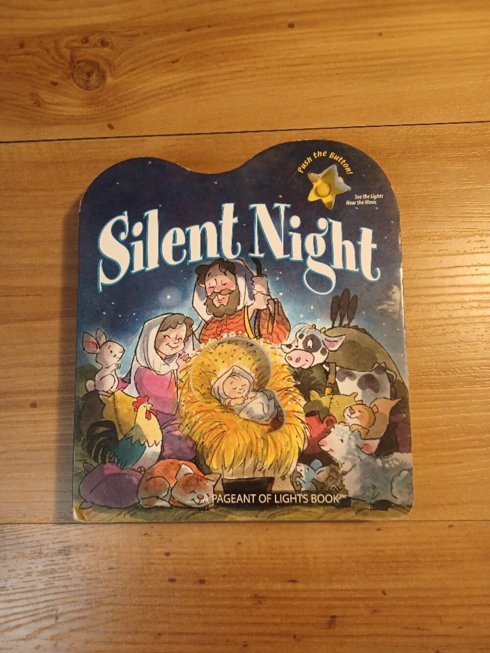 Silent Night: A Pageant Of Lights Book ( Candle Bible For Todd Board Book)